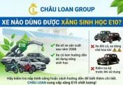 Xe nào dùng được xăng sinh học E10?