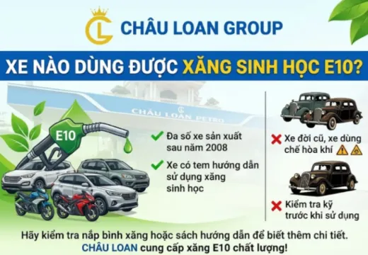Xe nào dùng được xăng sinh học E10?