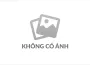 Nhượng quyền xăng dầu